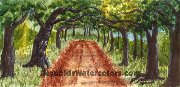 Brown dirt road covered with green trees